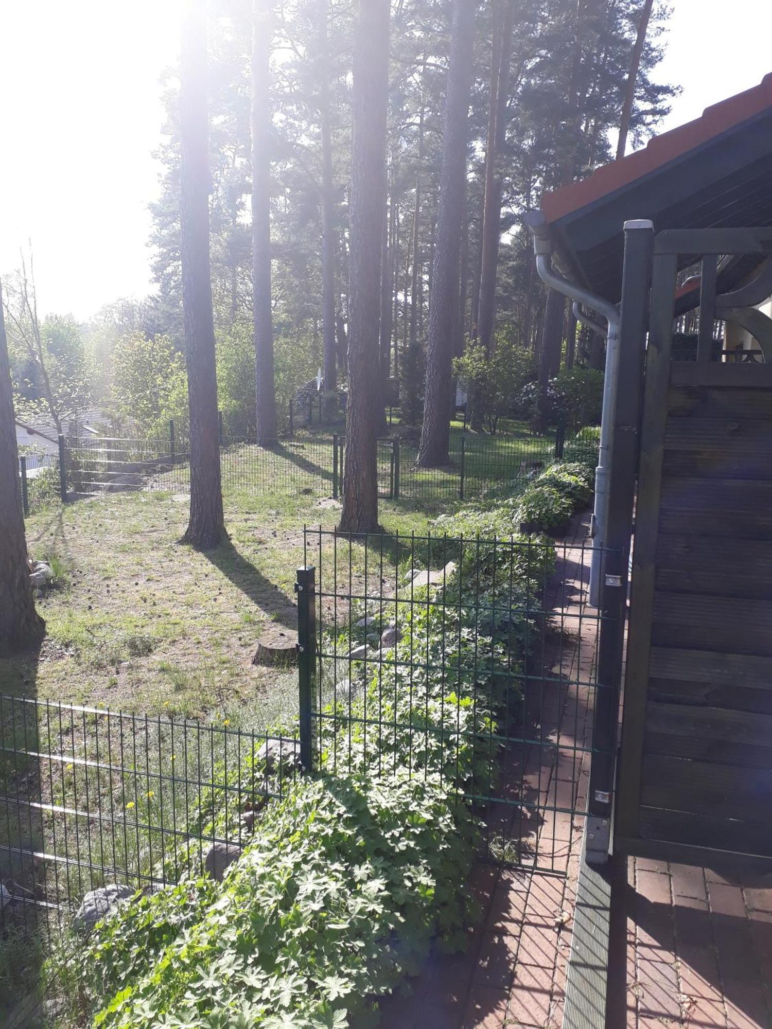 Ferienhaus Waldschneise B Am Jabeler See Exterior foto